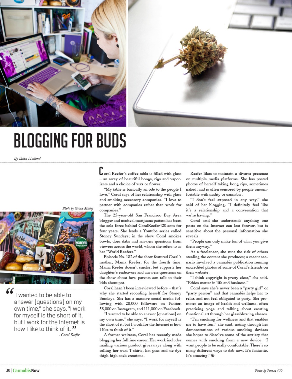 Cannabis Now Preview Pages