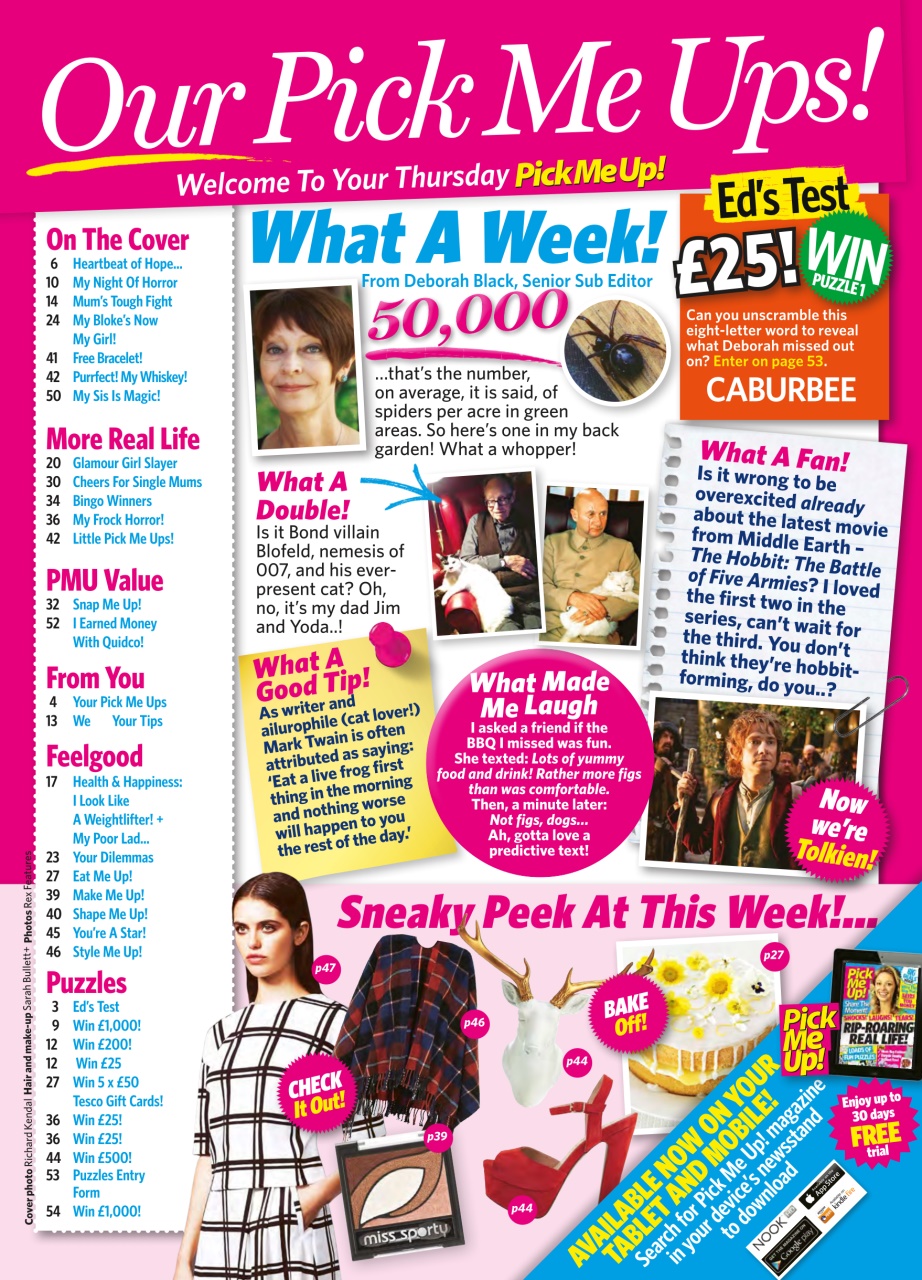 Pick Me Up Preview Pages