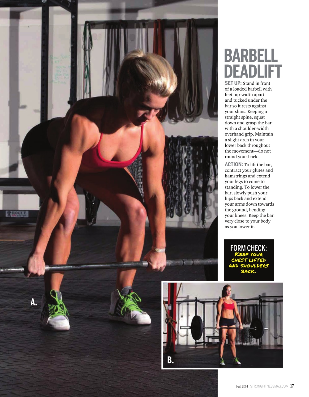 Strong Fitness Preview Pages