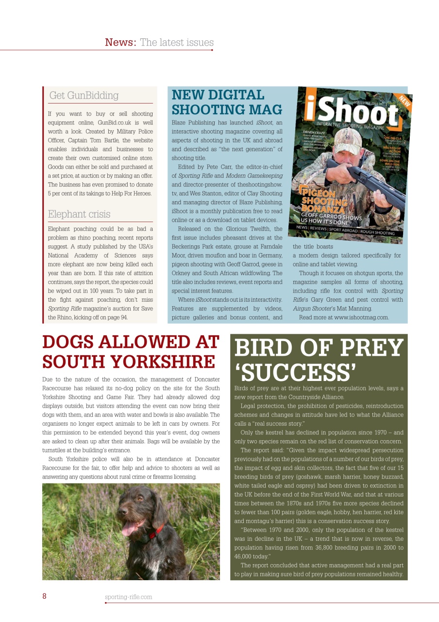 Sporting Rifle Preview Pages