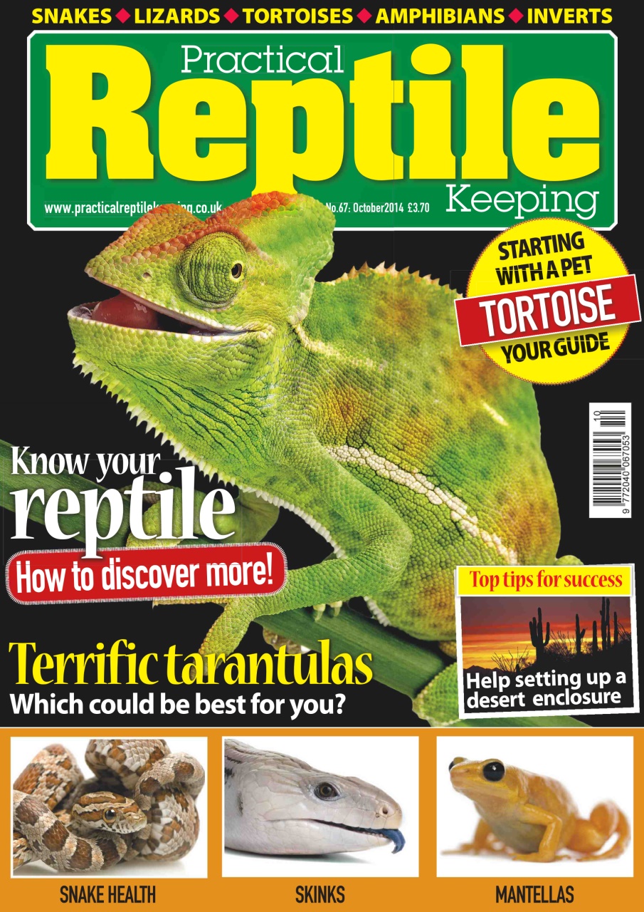 Practical Reptile Keeping Preview Pages