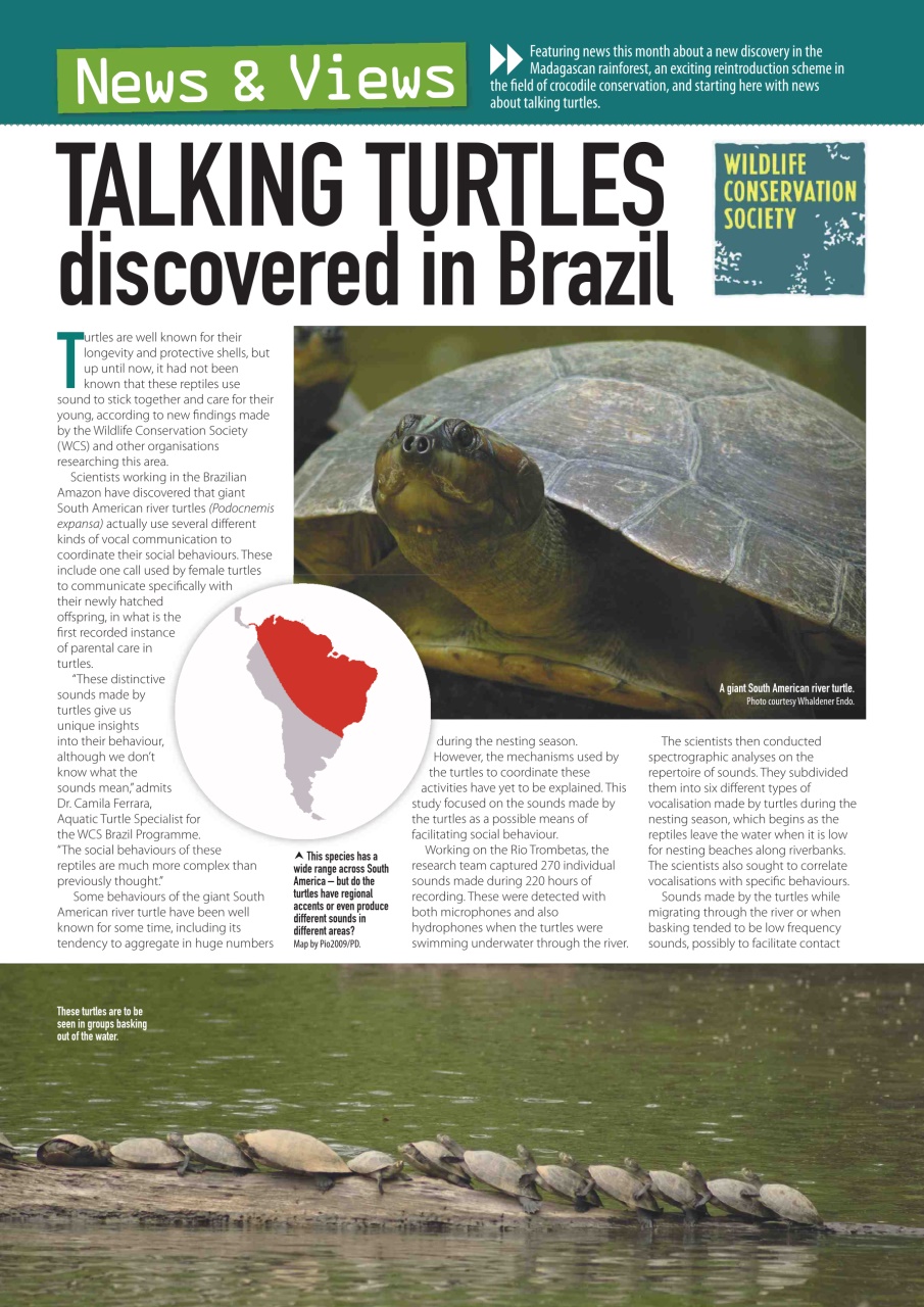 Practical Reptile Keeping Preview Pages