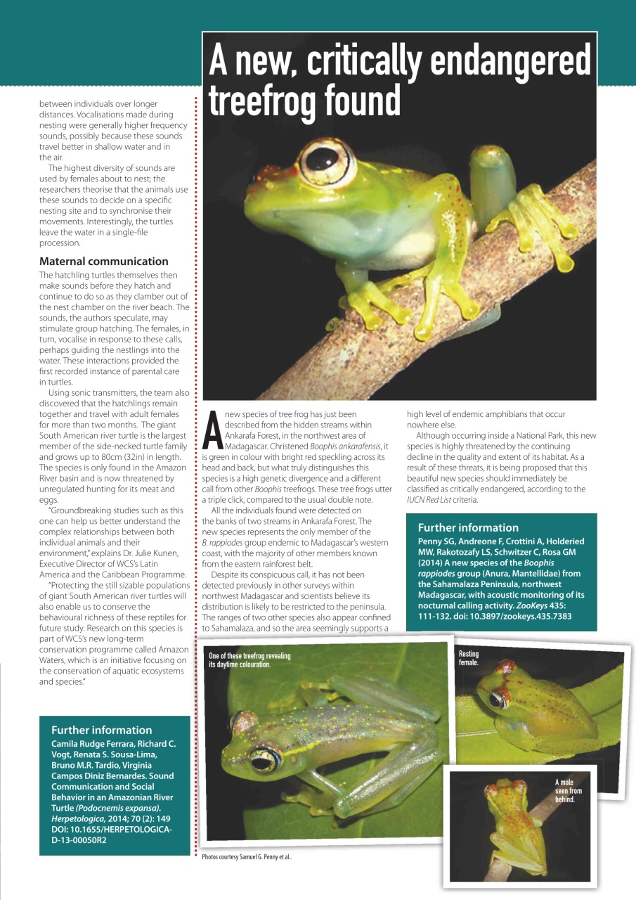 Practical Reptile Keeping Preview Pages