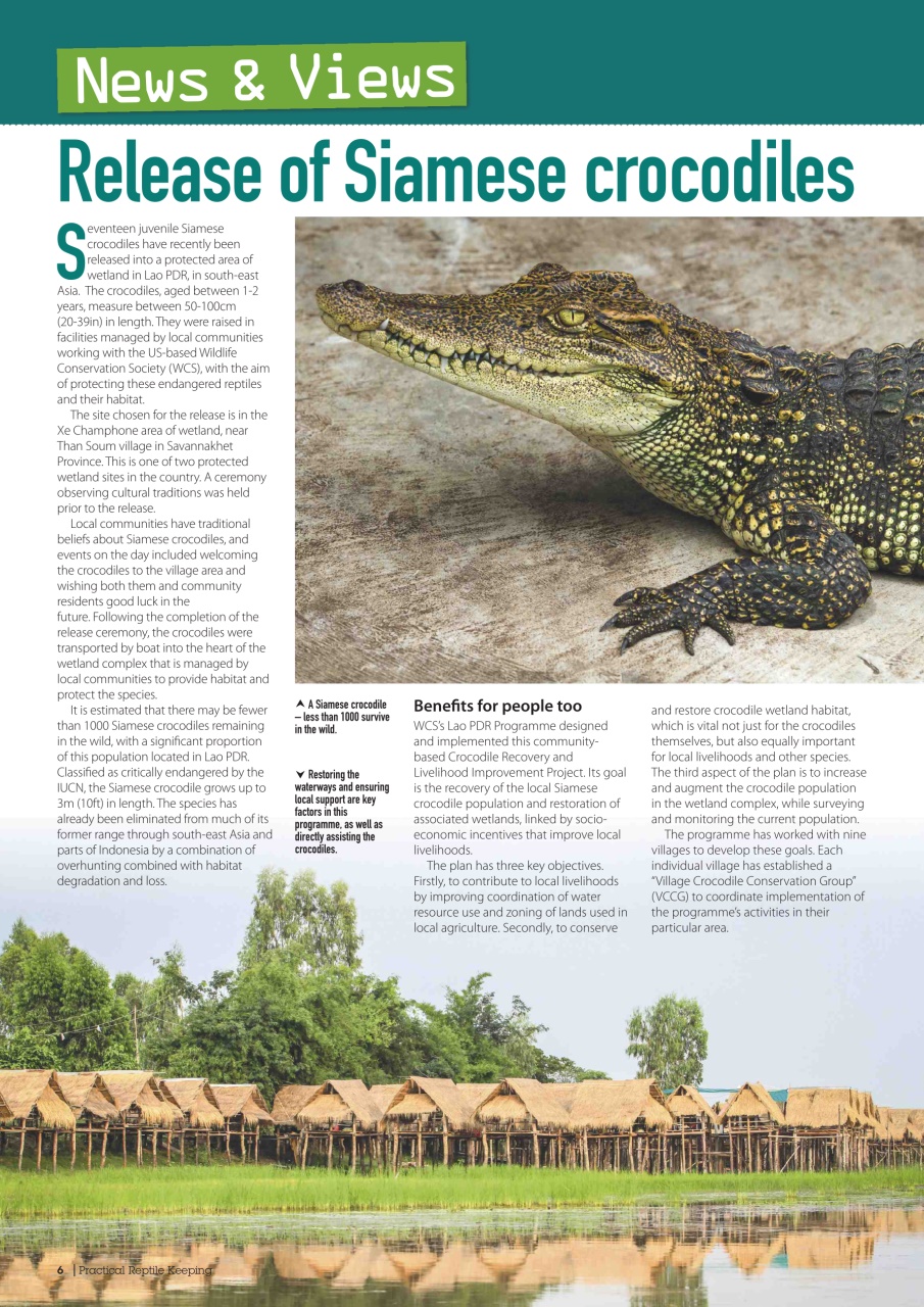 Practical Reptile Keeping Preview Pages