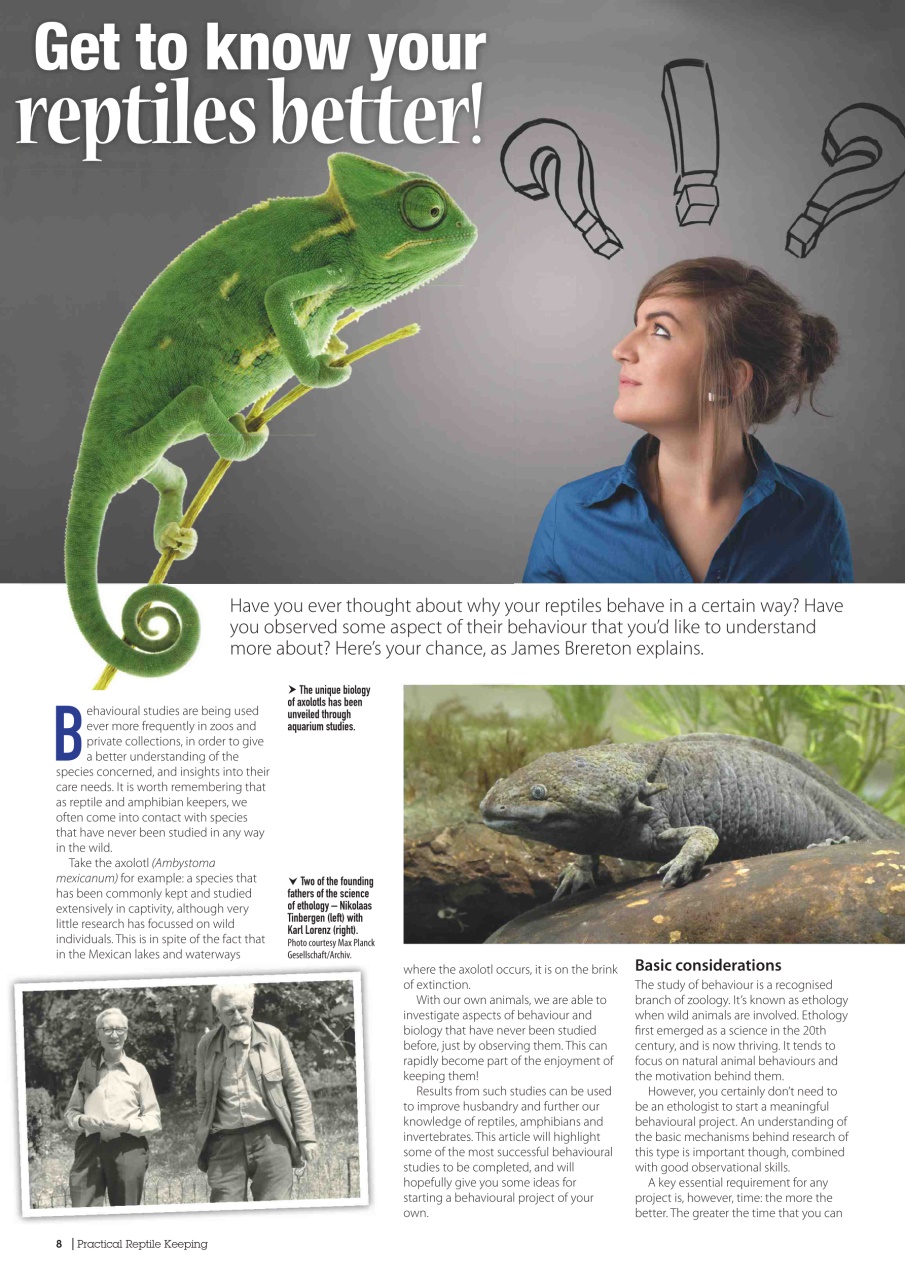 Practical Reptile Keeping Preview Pages