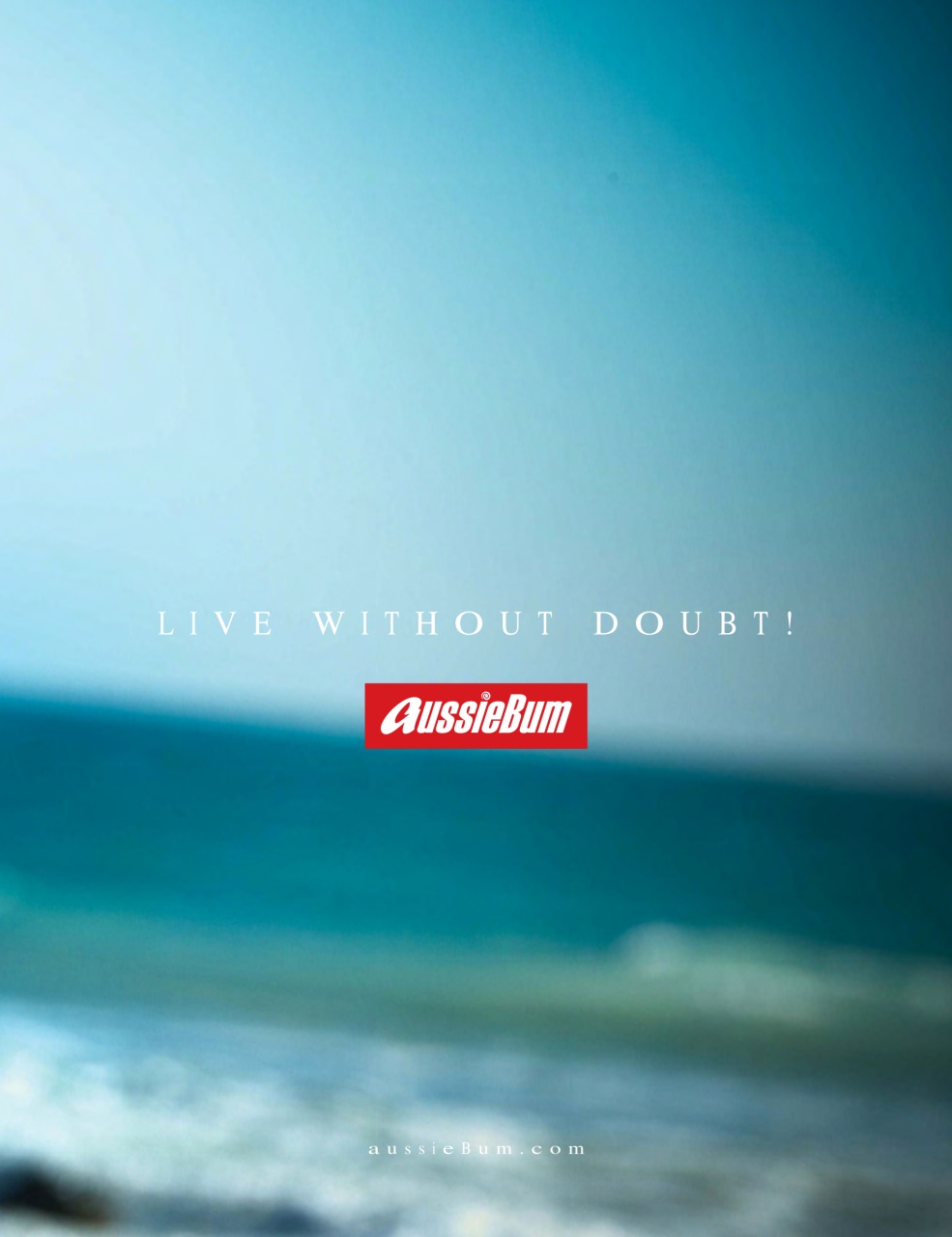 Passport Preview Pages