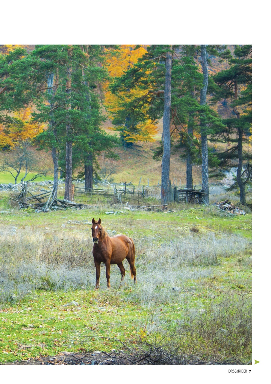 Horse&Rider Magazine - UK equestrian magazine for Horse and Rider Preview Pages