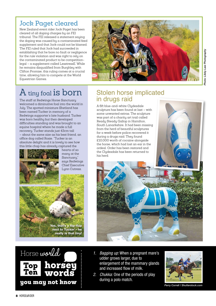 Horse&Rider Magazine - UK equestrian magazine for Horse and Rider Preview Pages