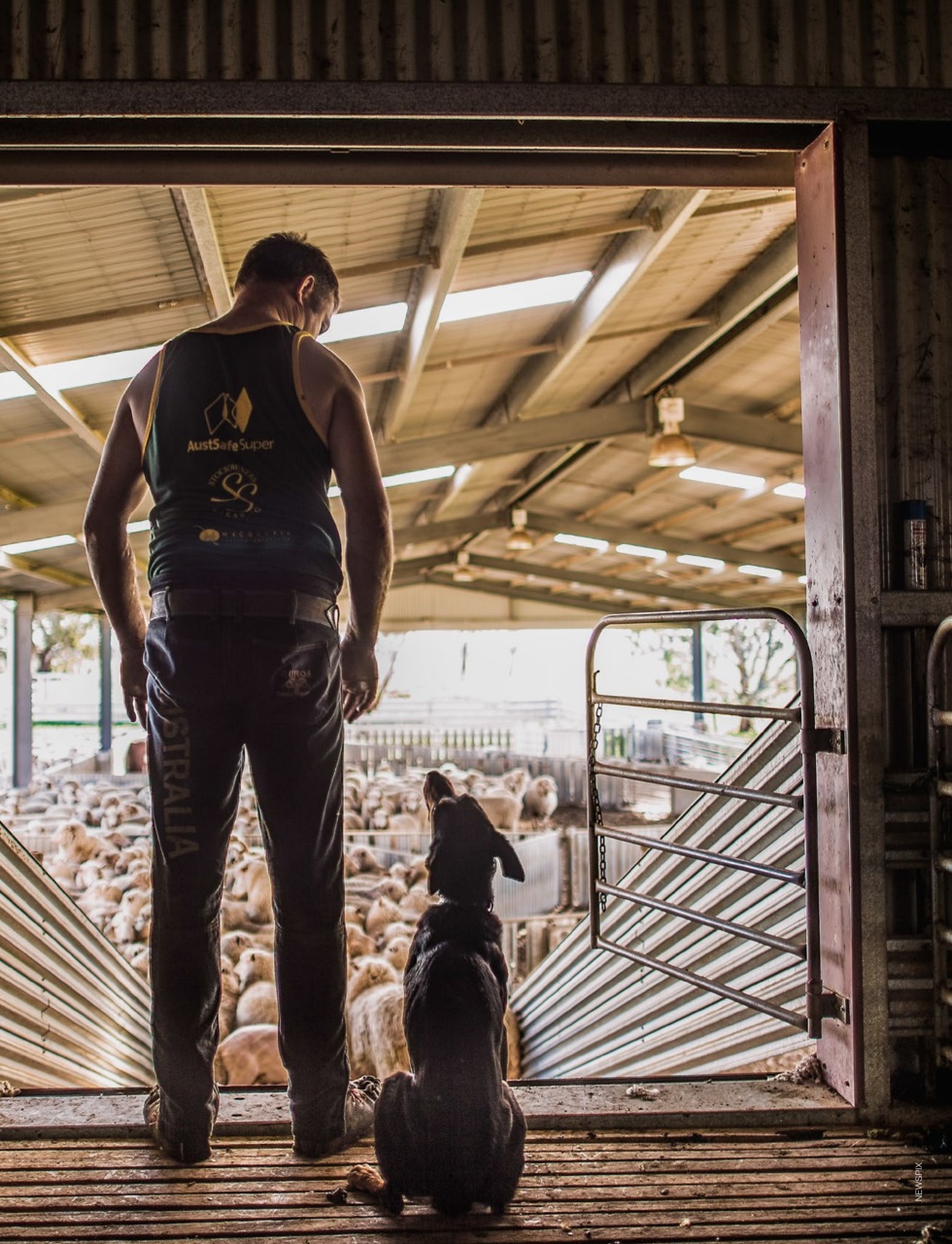 OUTBACK Magazine Preview Pages