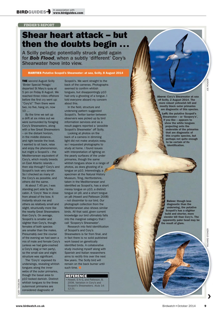 Birdwatch Magazine Preview Pages