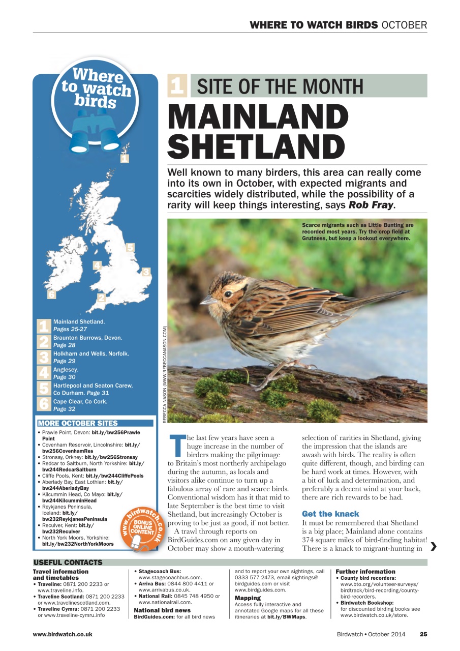 Birdwatch Magazine Preview Pages