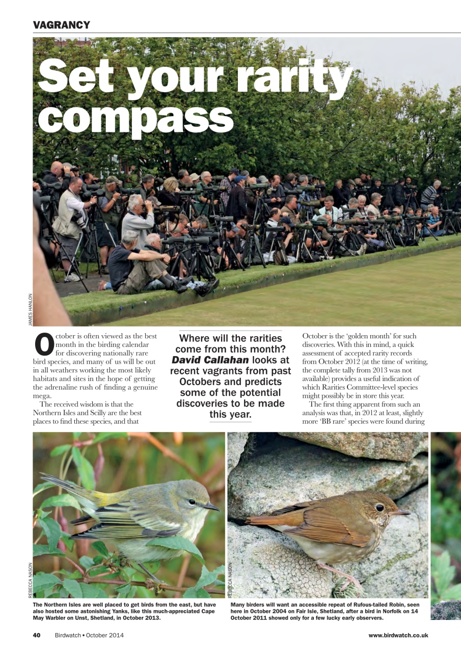 Birdwatch Magazine Preview Pages