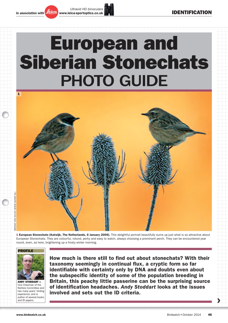 Birdwatch Magazine Preview Pages