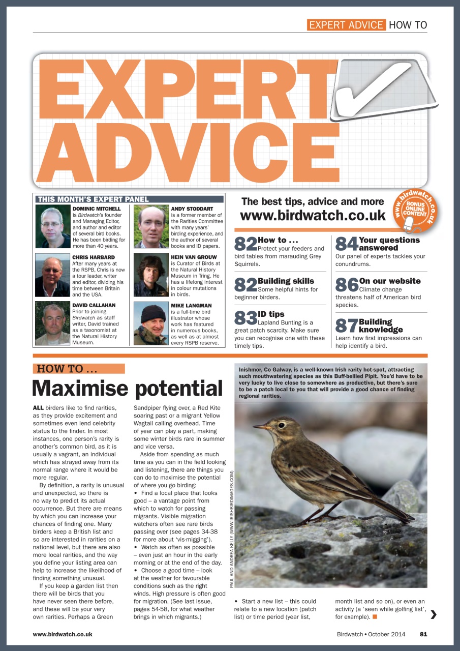 Birdwatch Magazine Preview Pages