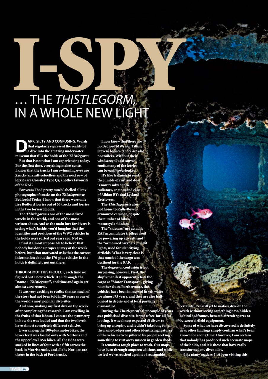 DIVER Preview Pages