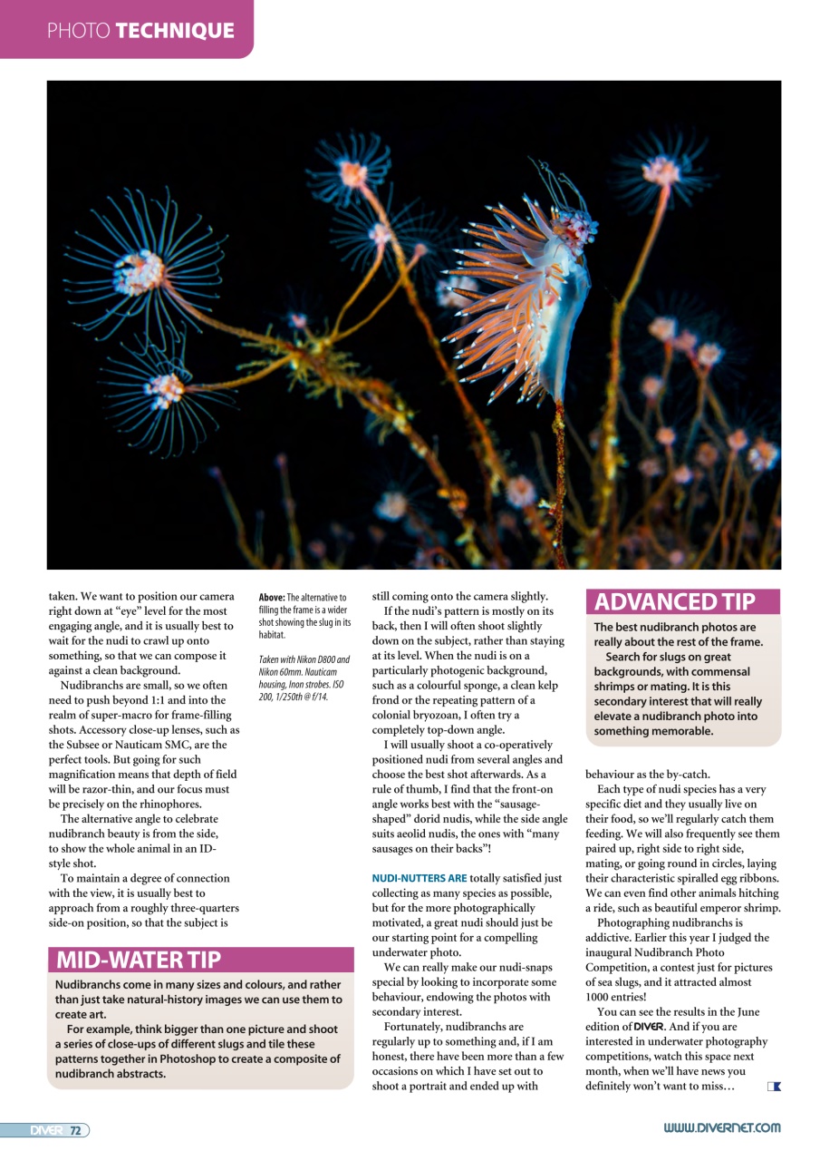DIVER Preview Pages