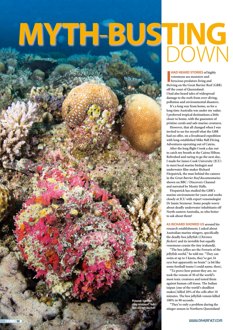 DIVER Preview Pages