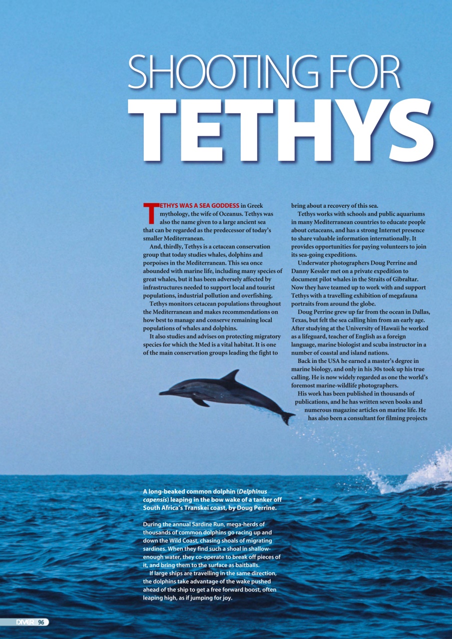 DIVER Preview Pages