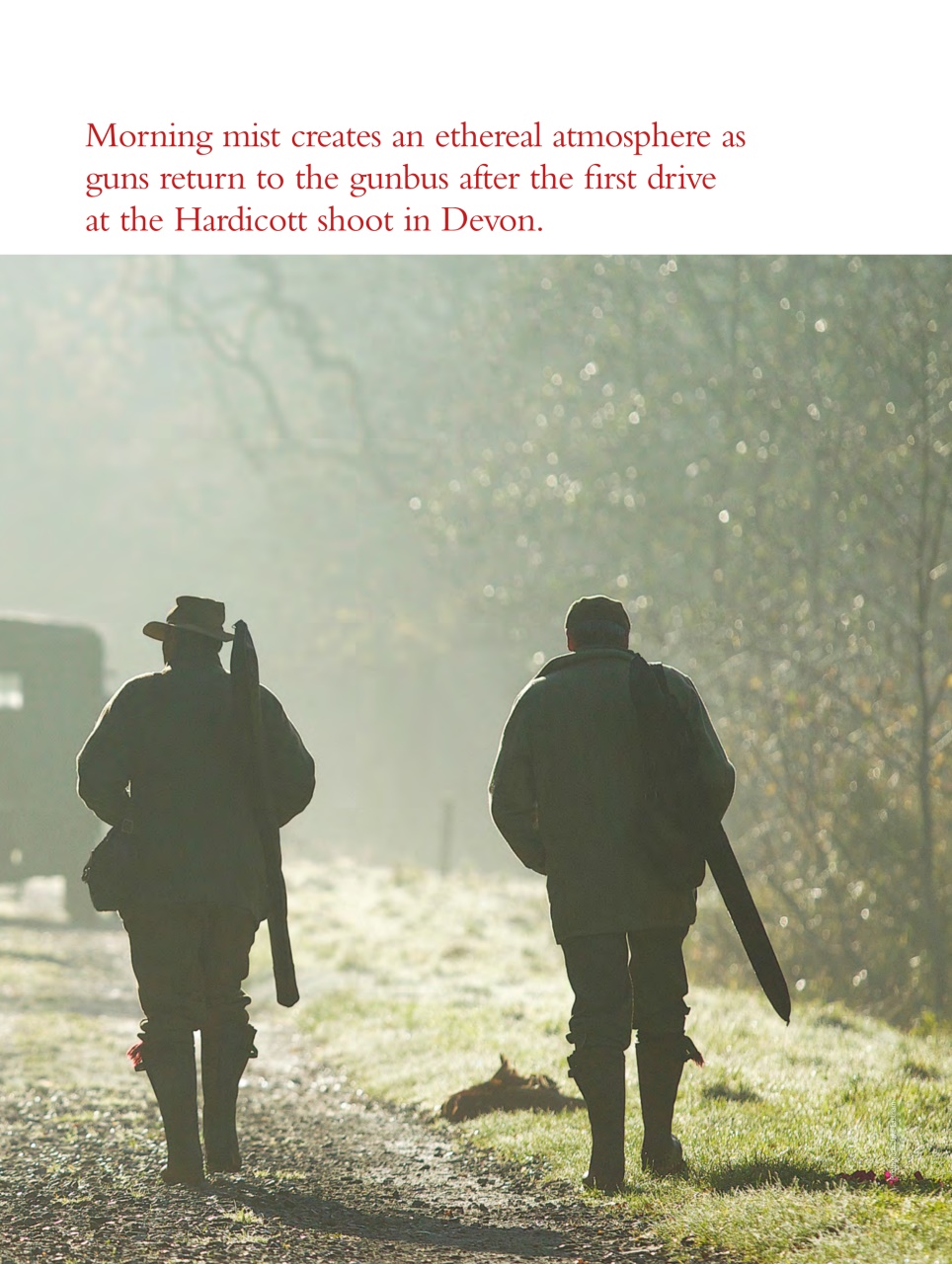 Shooting Gazette Preview Pages