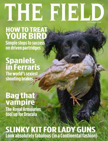 The Field issue Oct-14