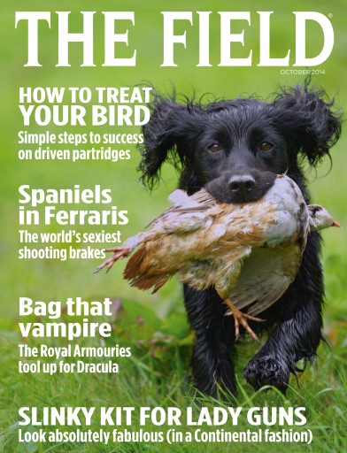 The Field issue 