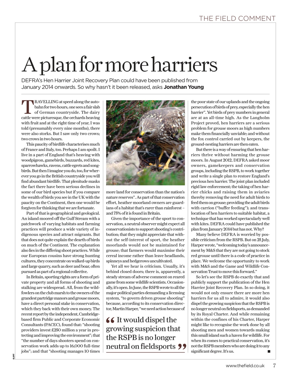 The Field Preview Pages