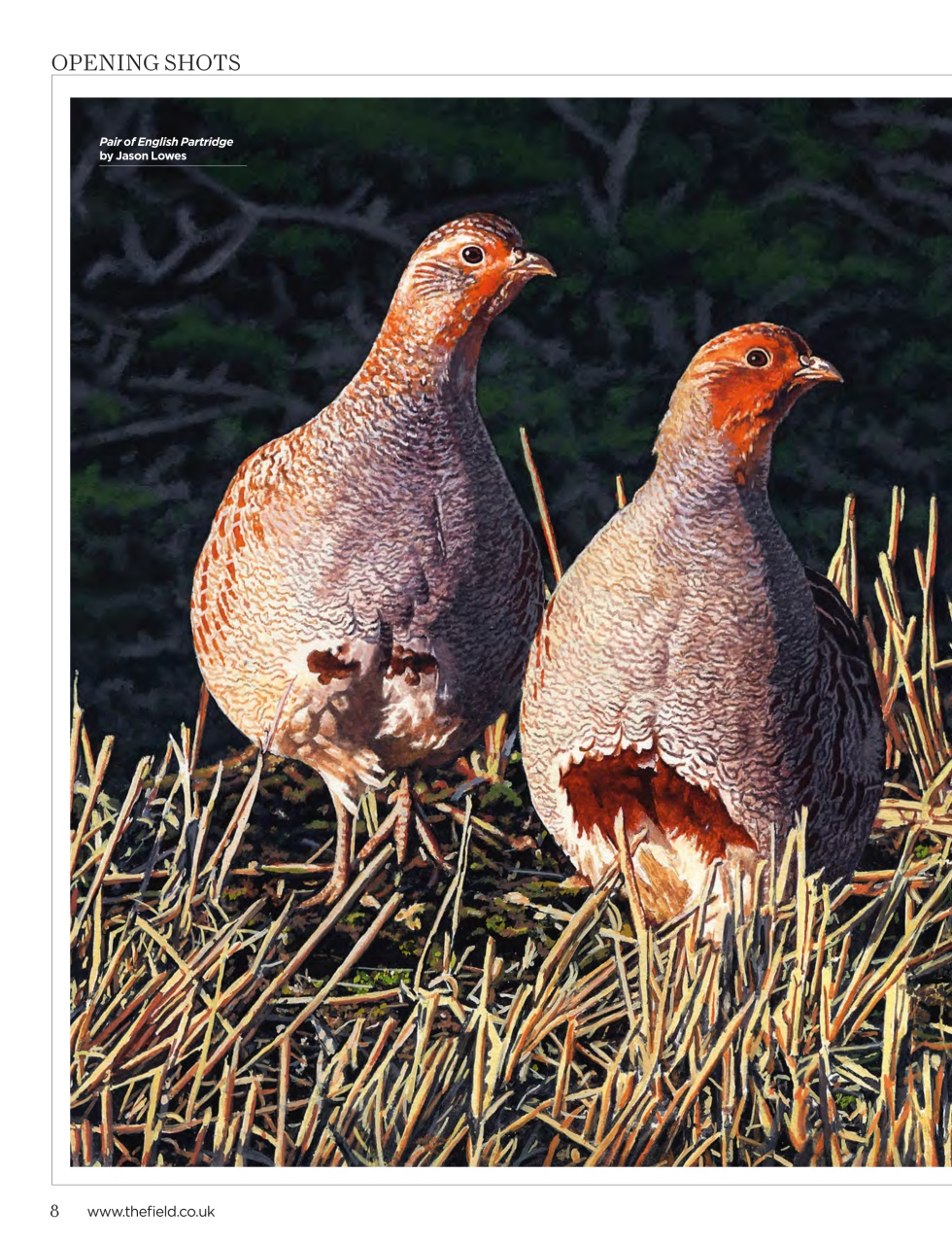 The Field Preview Pages