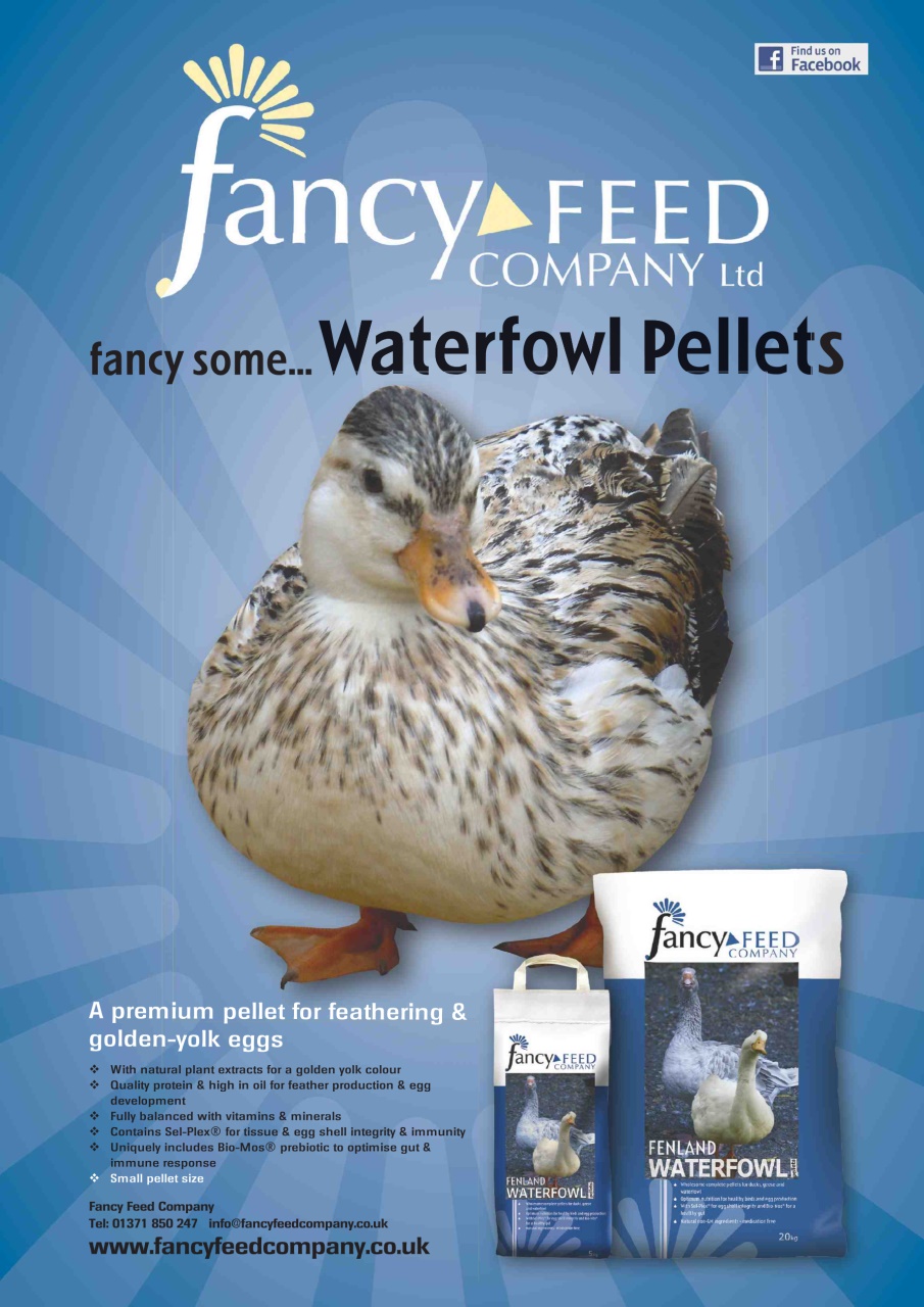Practical Poultry Preview Pages