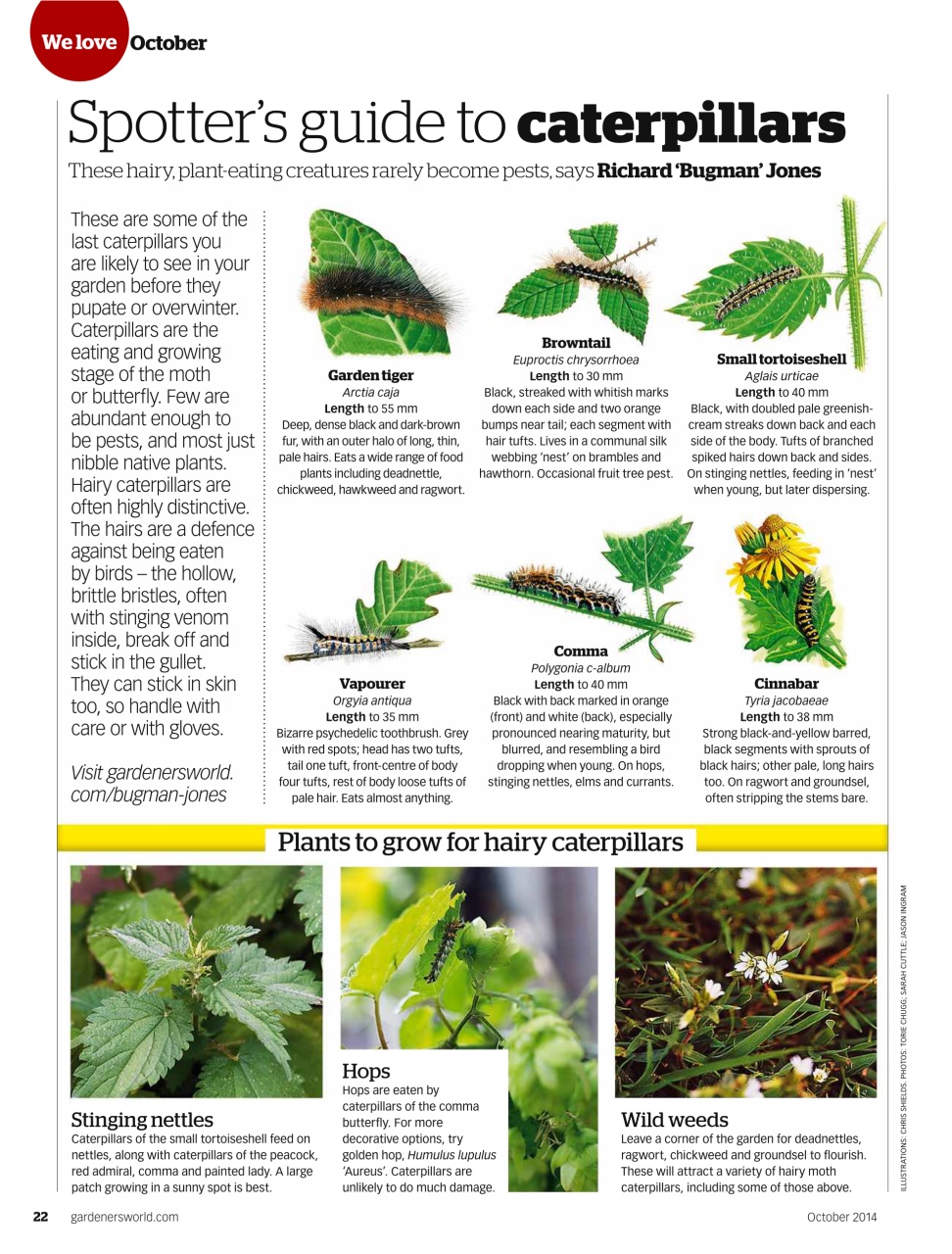 BBC Gardeners’ World Magazine Preview Pages