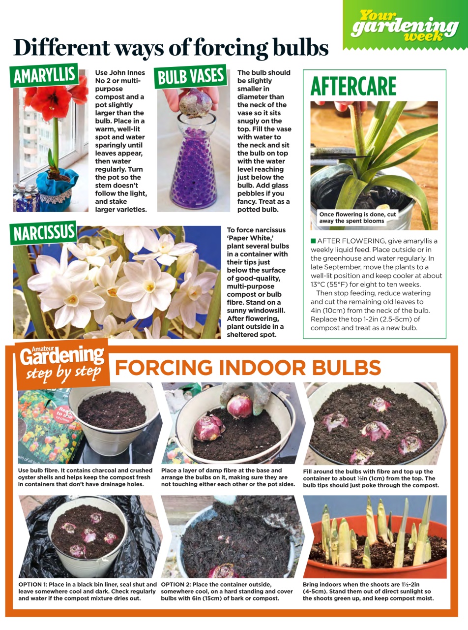 Amateur Gardening Preview Pages