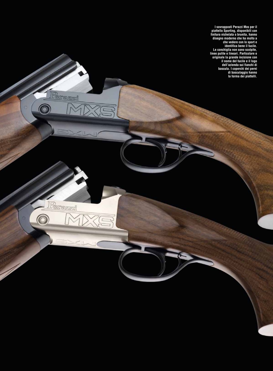 Armi E Tiro Preview Pages