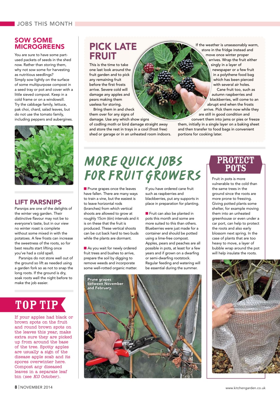 Kitchen Garden Magazine Preview Pages