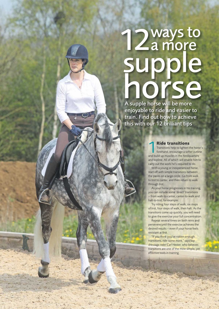 Horse Preview Pages