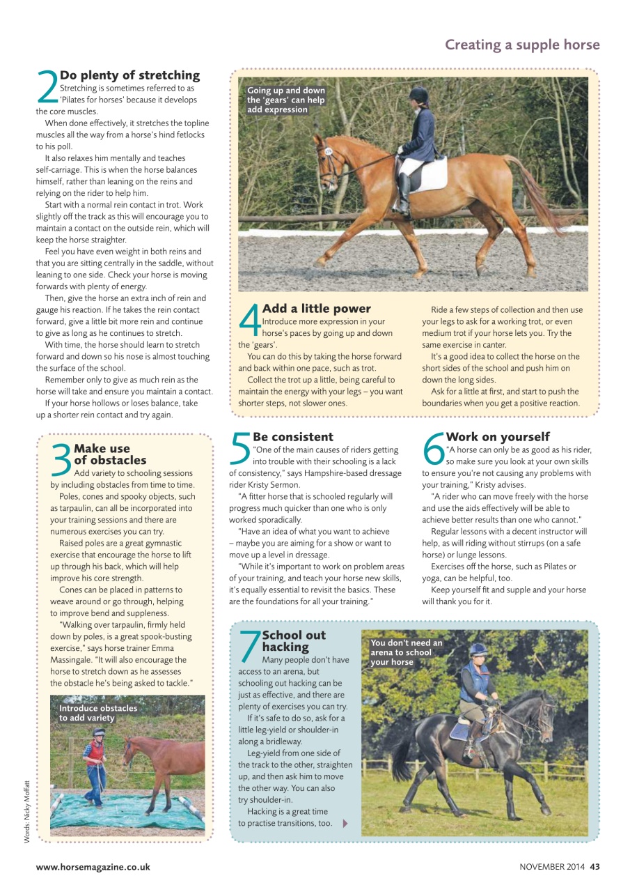 Horse Preview Pages