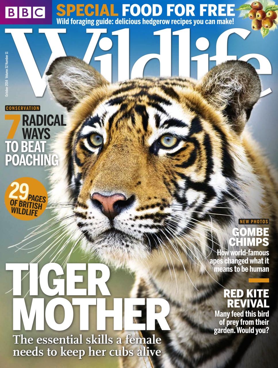 BBC Wildlife Magazine Preview Pages