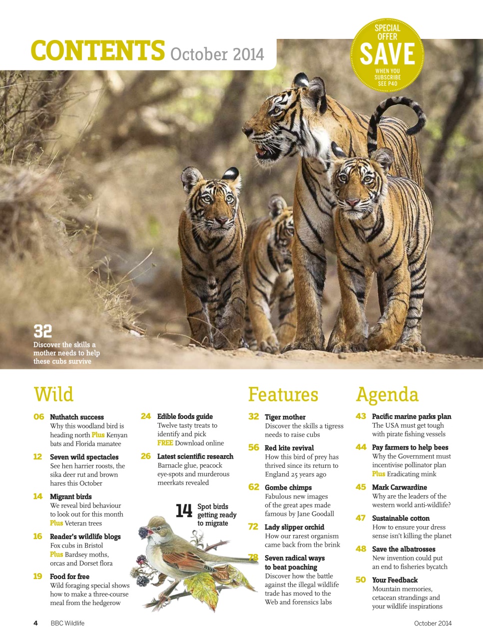 BBC Wildlife Magazine Preview Pages