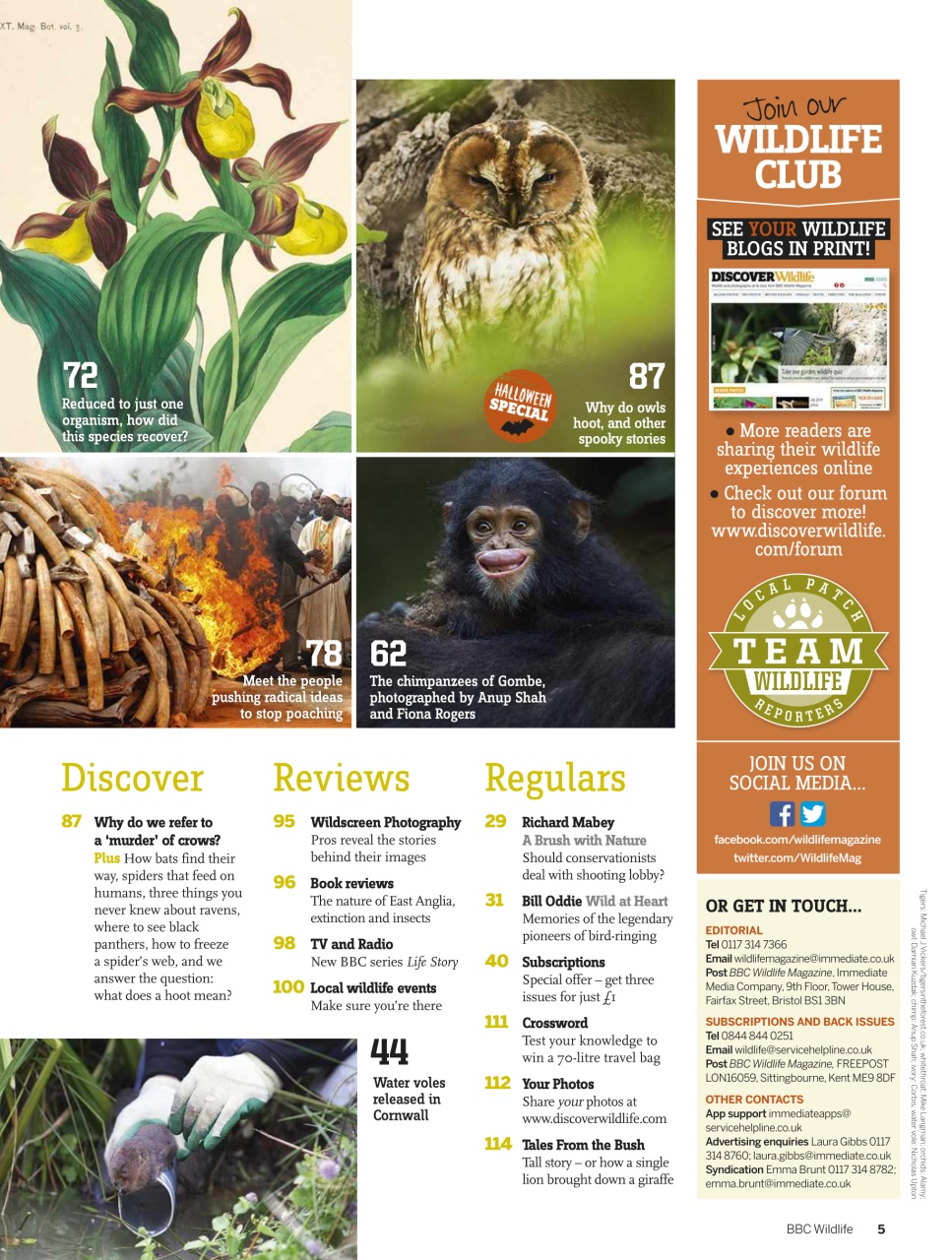 BBC Wildlife Magazine Preview Pages