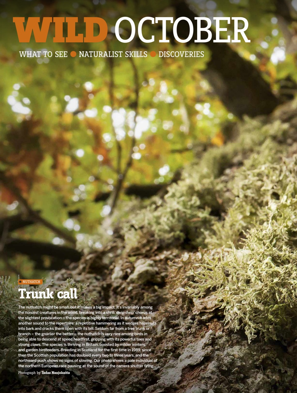 BBC Wildlife Magazine Preview Pages