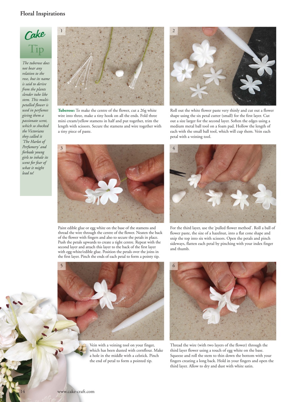 Cake Decoration & Sugarcraft Magazine Preview Pages