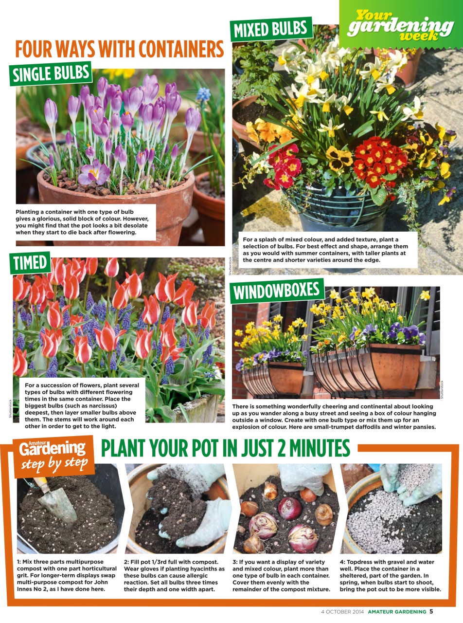 Amateur Gardening Preview Pages