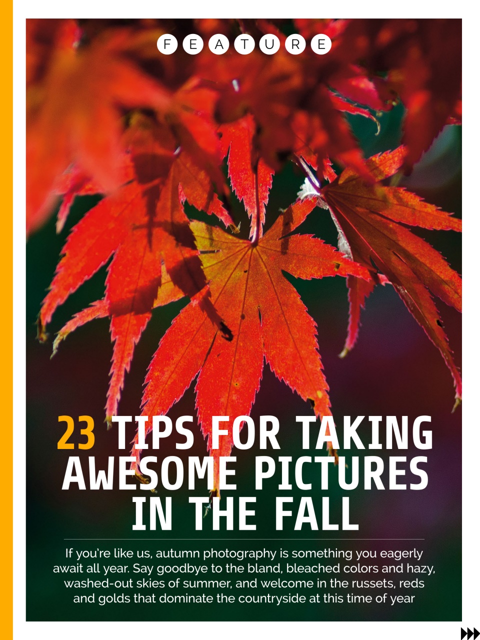 Photography Week Preview Pages