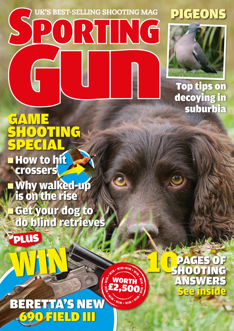 Sporting Gun Preview Pages
