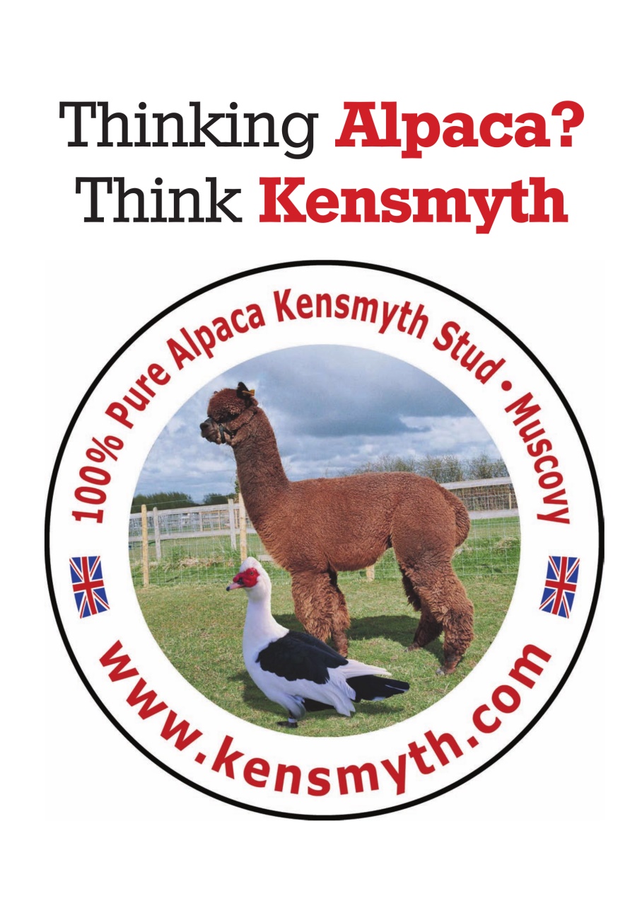 Teddy Bear Times Preview Pages