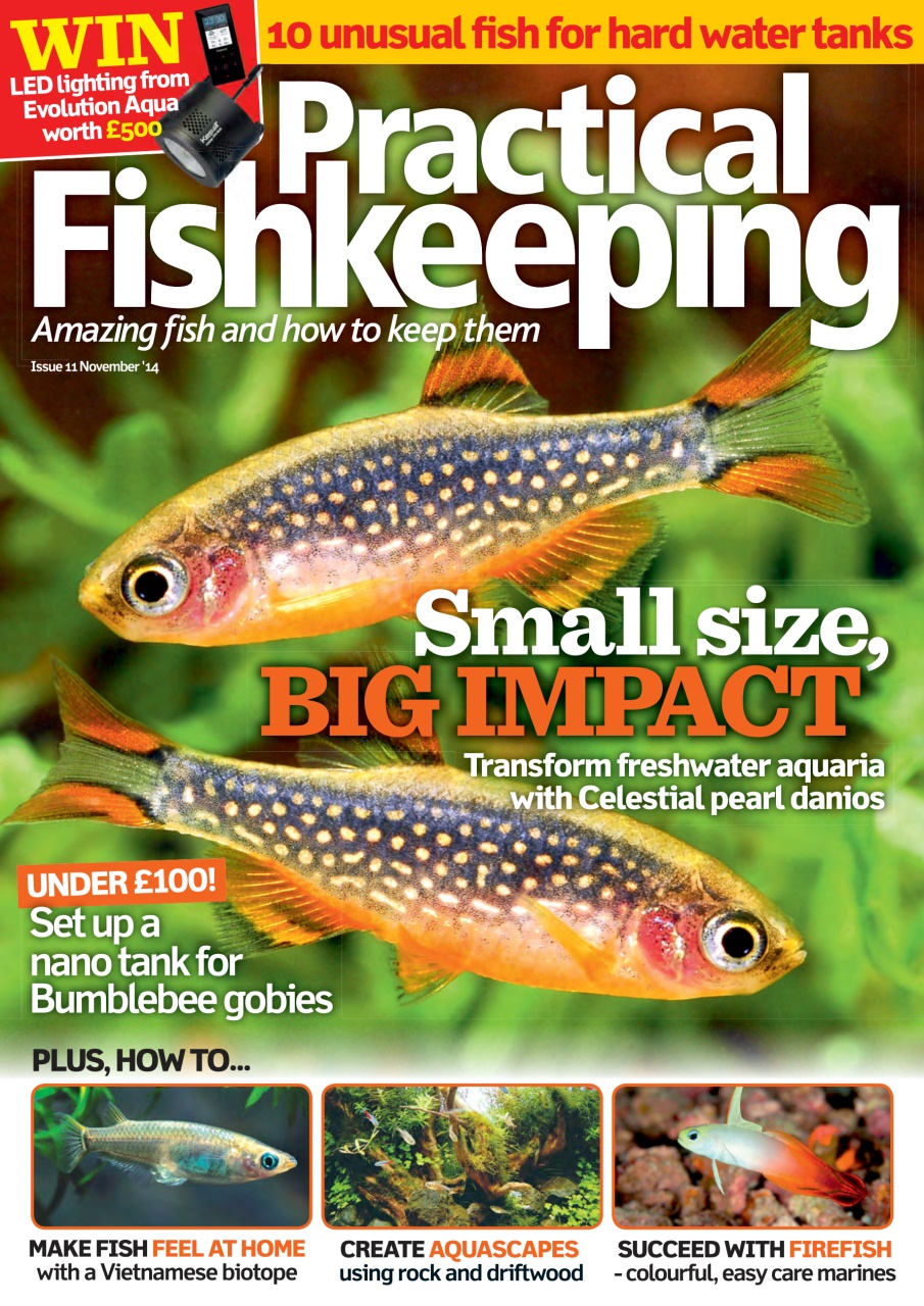 Practical Fishkeeping Preview Pages