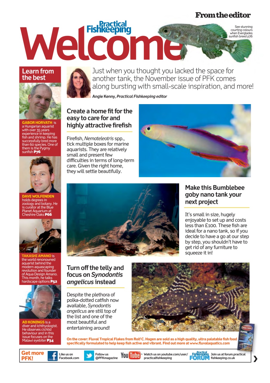 Practical Fishkeeping Preview Pages