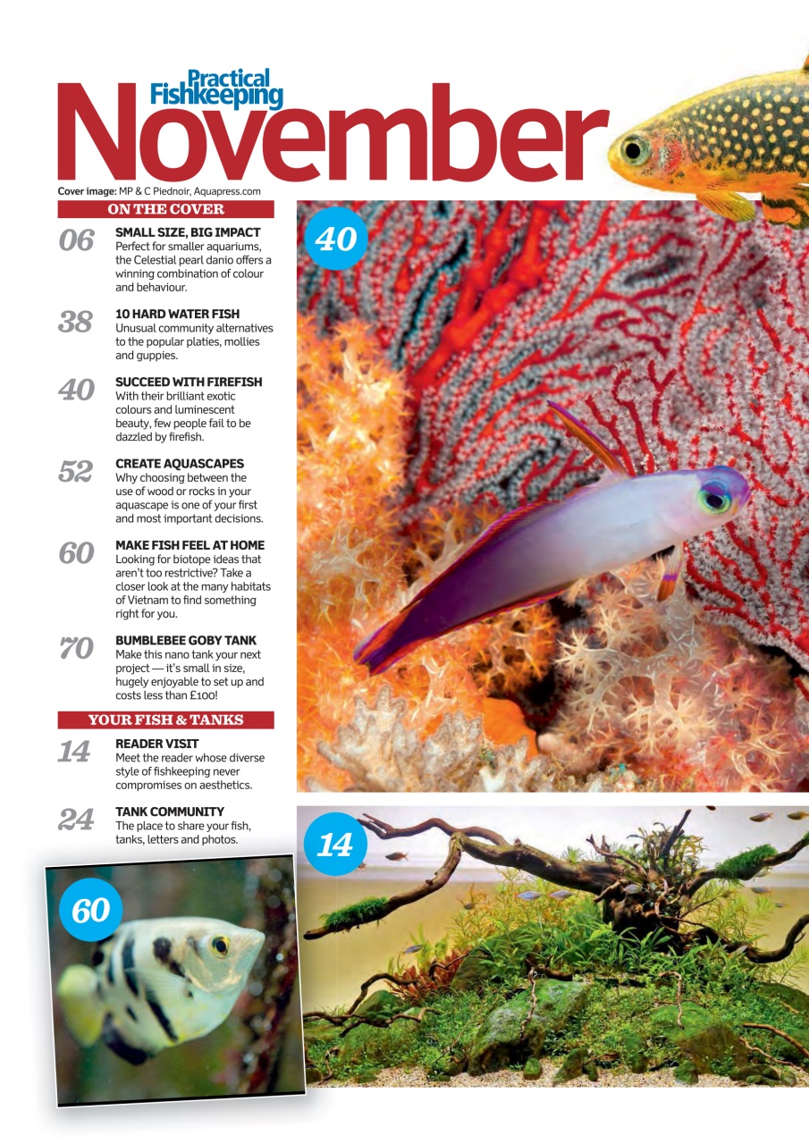 Practical Fishkeeping Preview Pages