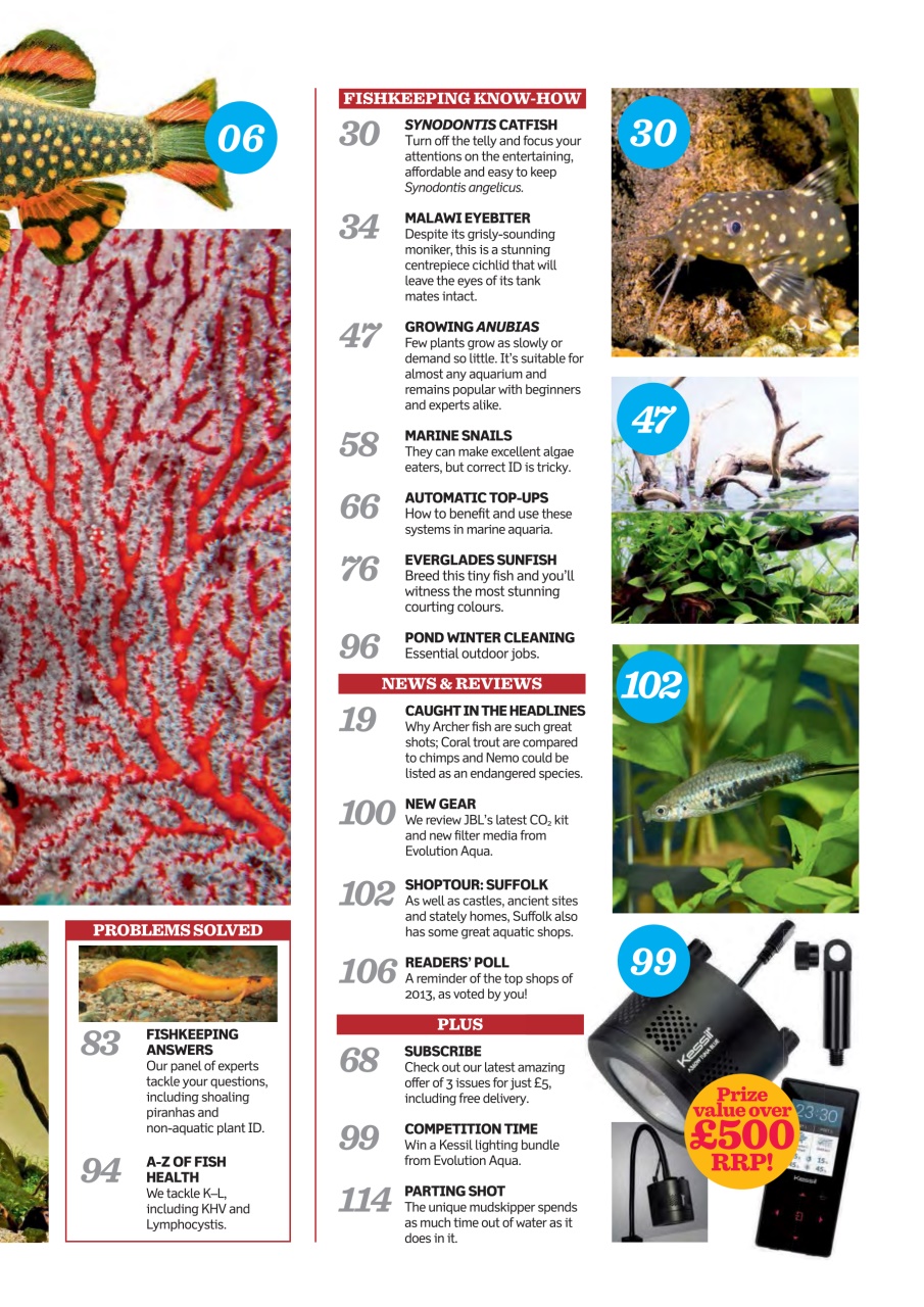 Practical Fishkeeping Preview Pages