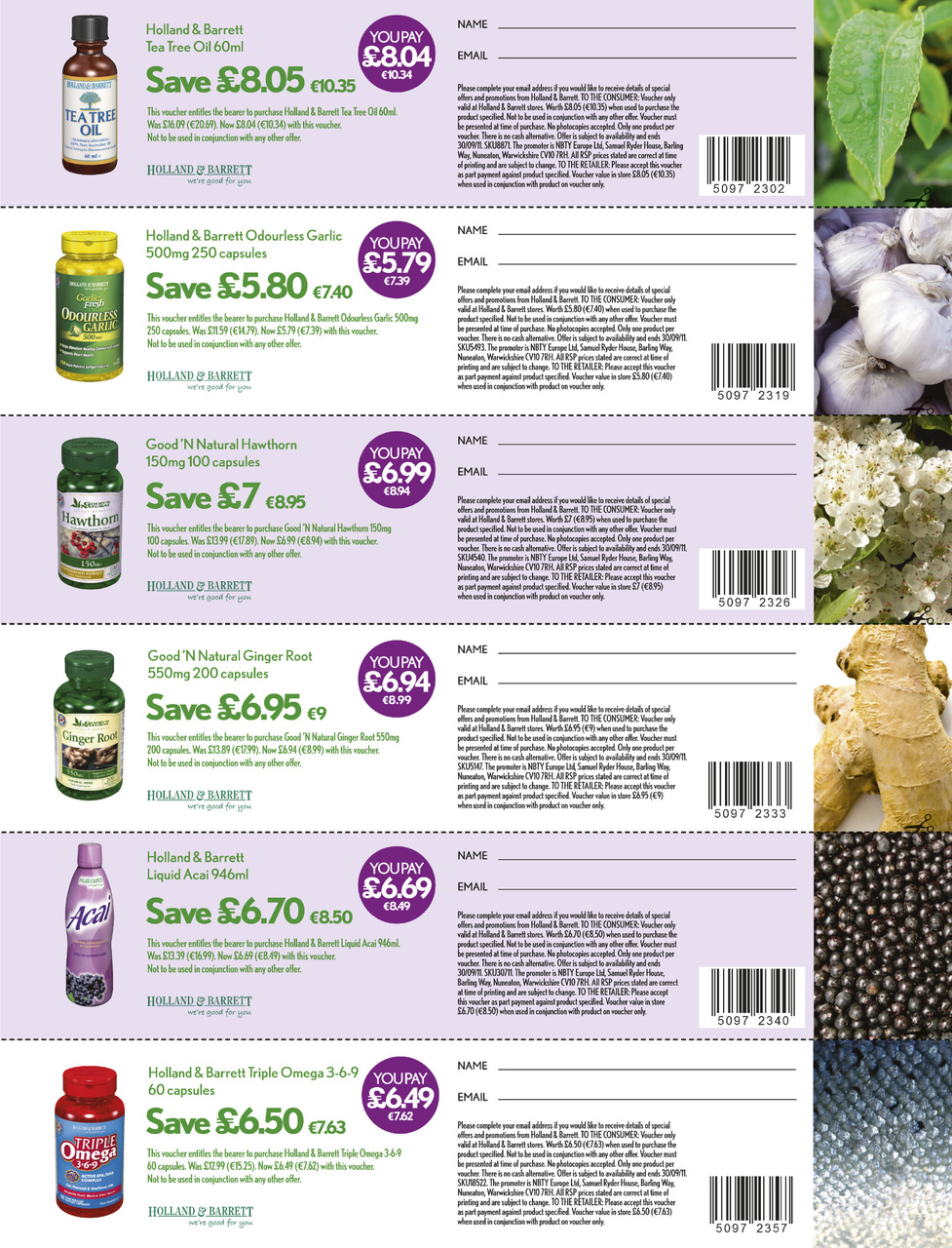 Healthy Magazine Preview Pages