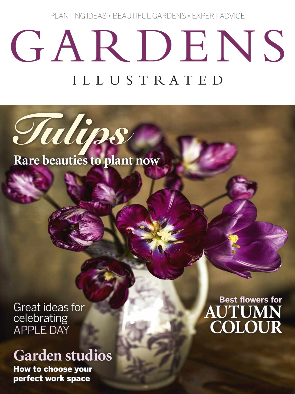 Gardens Illustrated Preview Pages