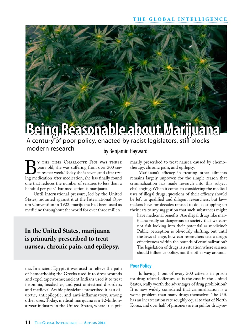 The Global Intelligence Preview Pages